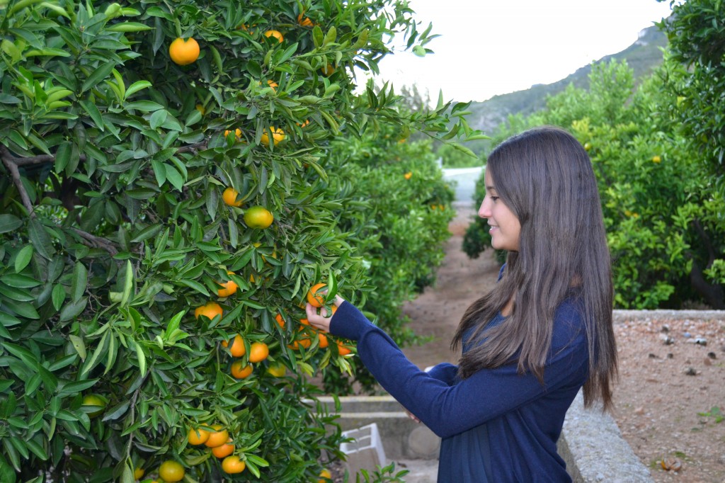 Beneficios de las mandarinas para tu piel