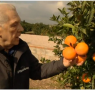 Luis Serra: Yo hablo con los naranjos