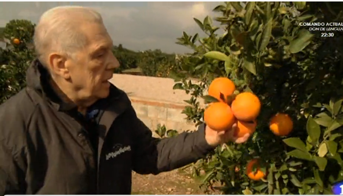 Luis Serra: Yo hablo con los naranjos